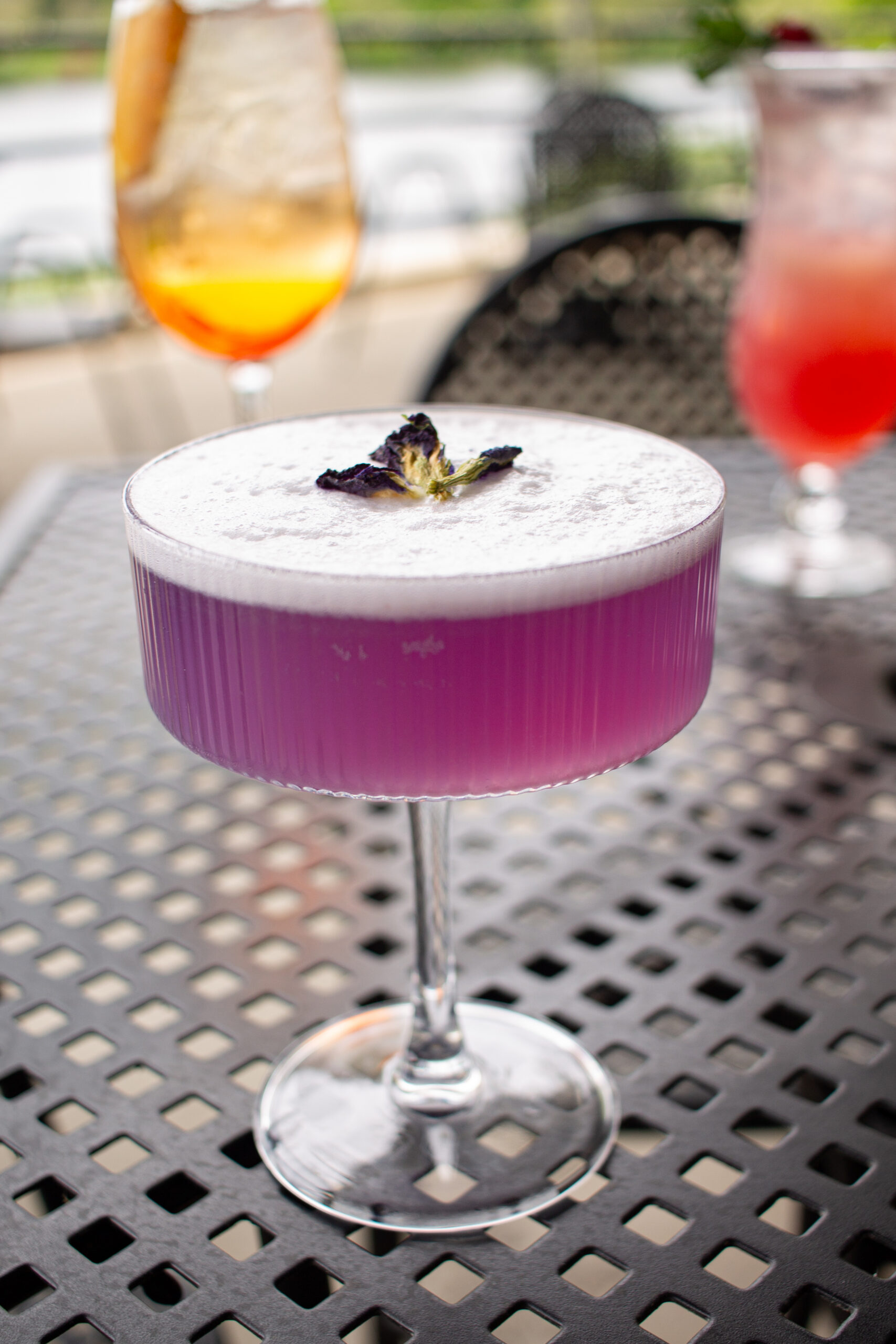 Papillion Violet gin cocktail with lime at the Terrace at Delaware Park Buffalo NY Parkside cocktails