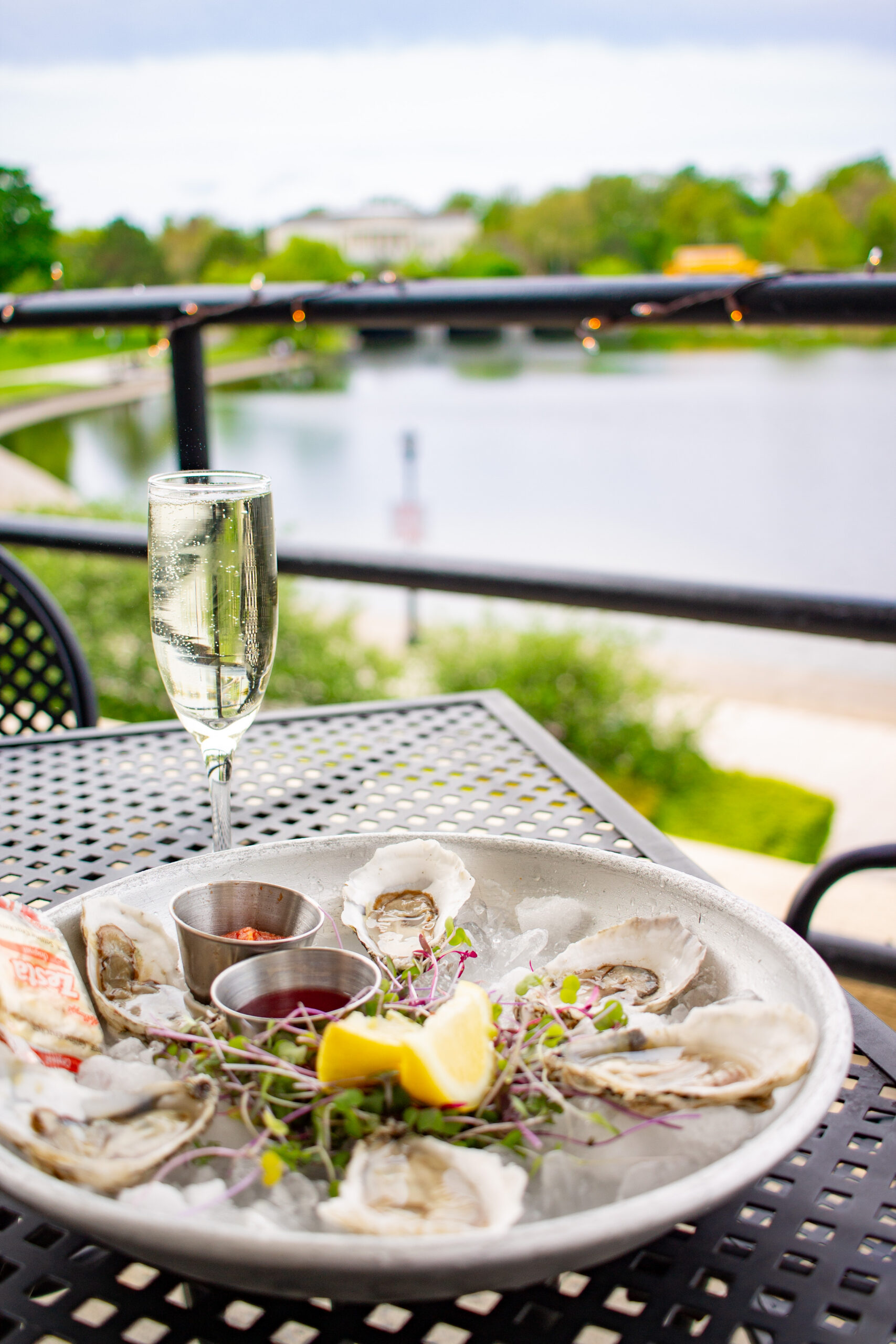 Terrace 75 champagne cocktail lakeside in Buffalo NY museum park Hoyt Lake patio terrace restaurant